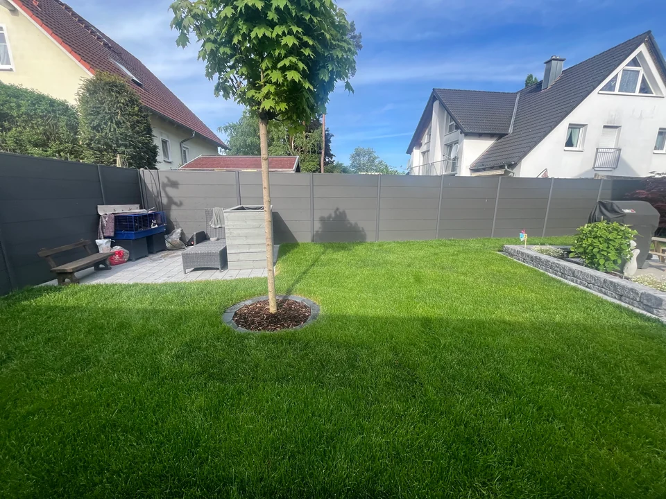 Hausgarten mit großer Rasenfläche, jungem Baum in runder Baumscheibe, grauem Sichtschutzzaun und kleiner Pflasterterrasse